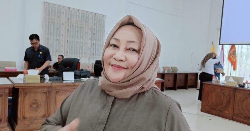 Wakil ketua DPRD Barsel Harapkan PemkabPacu Serapan Anggaran