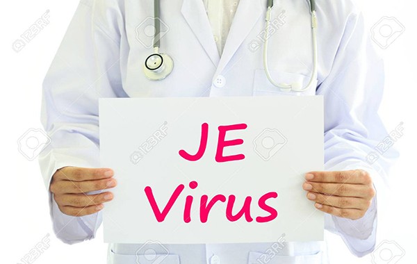 Diduga Tertular Virus Japanese Encephalitis Anak Usia 7 Tahun Meninggal Dunia di Pulang Pisau