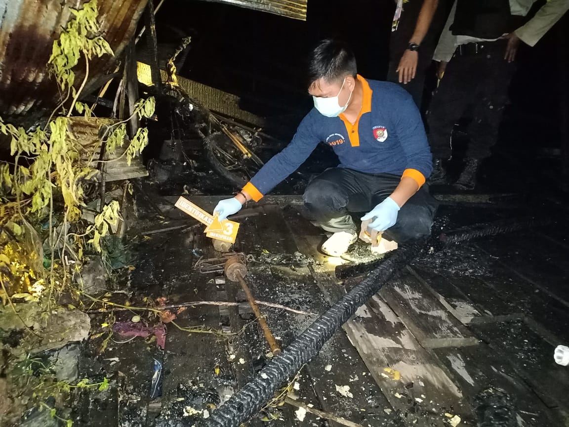 Gara-Gara Tak menemukan HP, Anak Durhaka Tega Bunuh Ibu Kandung di Pulang Pisau