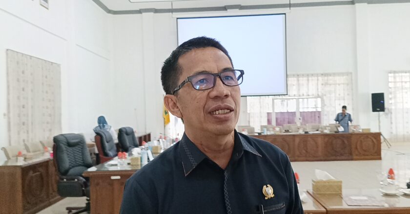 DPRD dorong pemkab Barsel kembangkan produk unggulan