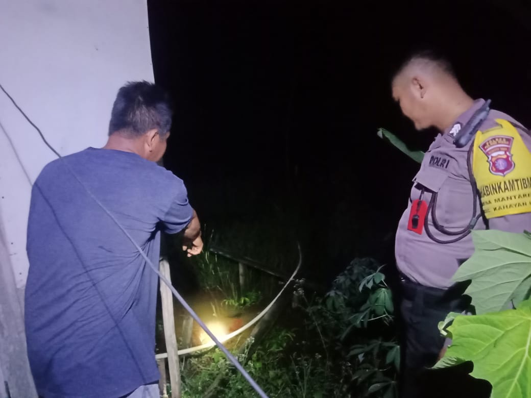 Lagi, Kemunculan Buaya Kejutkan Warga Desa Mantaren II