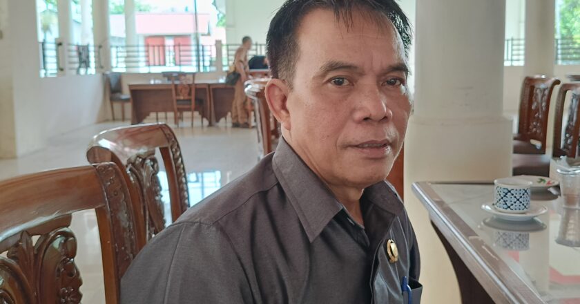 DPRD Barsel harapkan pemkab terus optimalkan potensi PAD