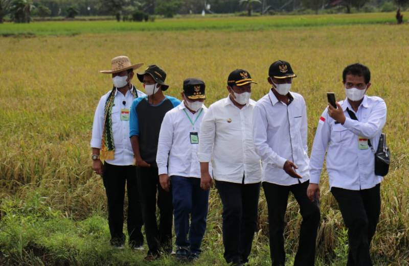 Menteri Pertanian RI Final Cek Kesiapan 30 Ribu Hektar Lahan Awal Program Food Estate