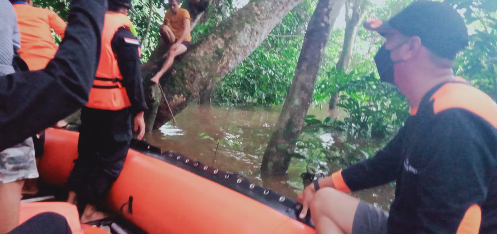 Nekat lompat dari jembatan Merdeka, pria di Murung Raya ditemukan diatas pohon