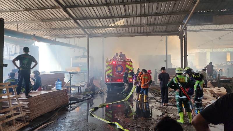 3 Orang Karyawan Mengalami Luka Bakar dalam Kebakaran PT Kayu Lima Sejahtera