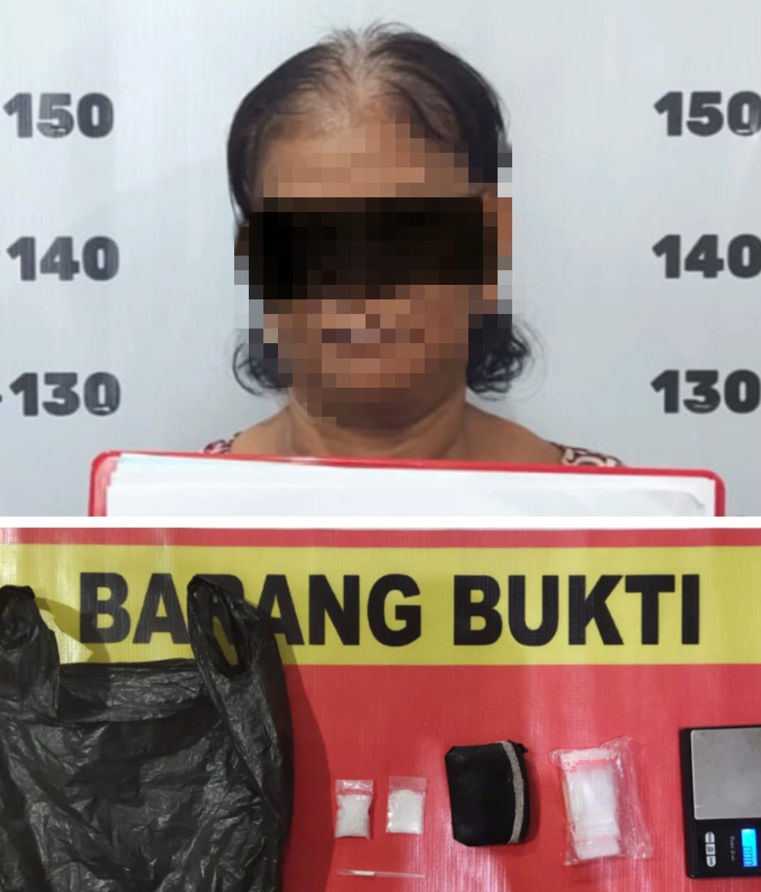 Diduga Simpan Sabu Wanita Paruh Baya di Kapuas Diringkus