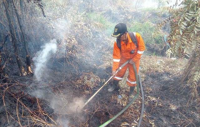 Karhutla Terus Terjadi : BPBD Pulang Pisau Himbau Jangan Membuka Lahan Dengan Cara Membakar