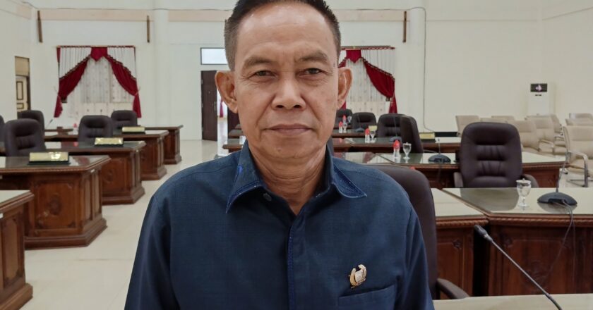 Pemkab Barito Selatan Diminta Gali Peluang Pengembangan Produk Lokal