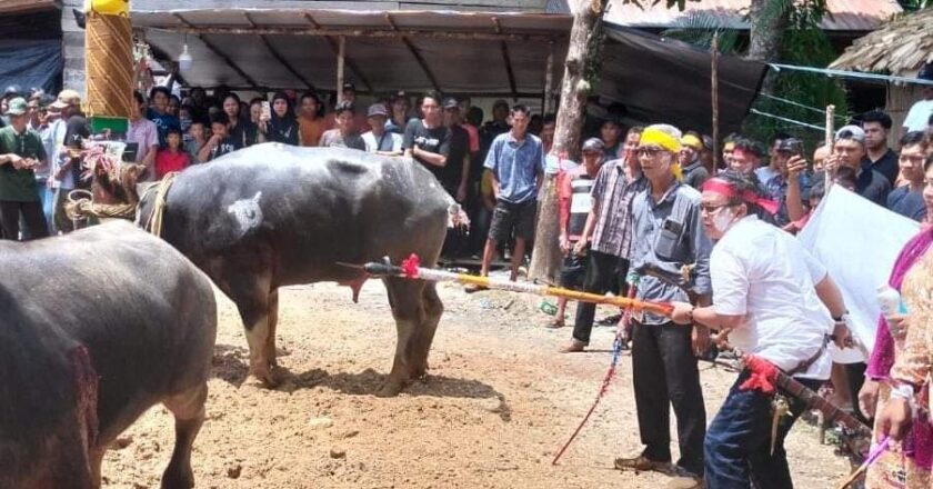 Calon Wakil Bupati Kapuas Alberkat Hadiri Acara Nyakean Tiwah