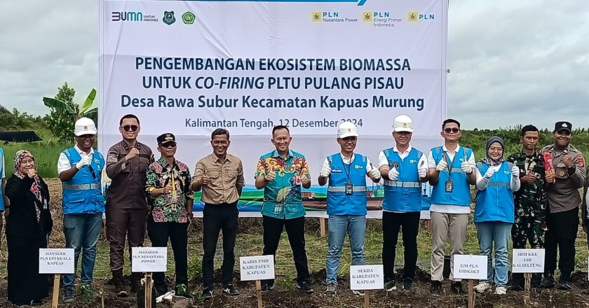 PT PLN Kembangkan Ekosistem Biomassa untuk Co-Firing di Desa Rawa Subur