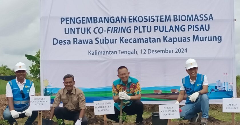Pemkab Kapuas Dukung Program PT PLN Kembangkan Ekosistem Biomassa untuk Co-Firing