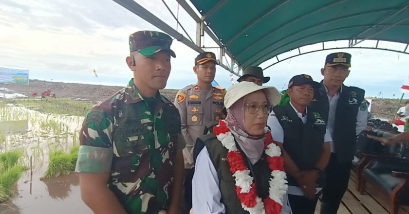 Hj Surnarti Akui Kalteng Kekurangan SDM Petani untuk Program Cetak Sawah