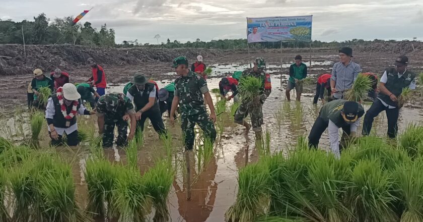 Program Akselerasi Cetak Sawah Rakyat Masih Terkendala Tata Kelola Irigasi