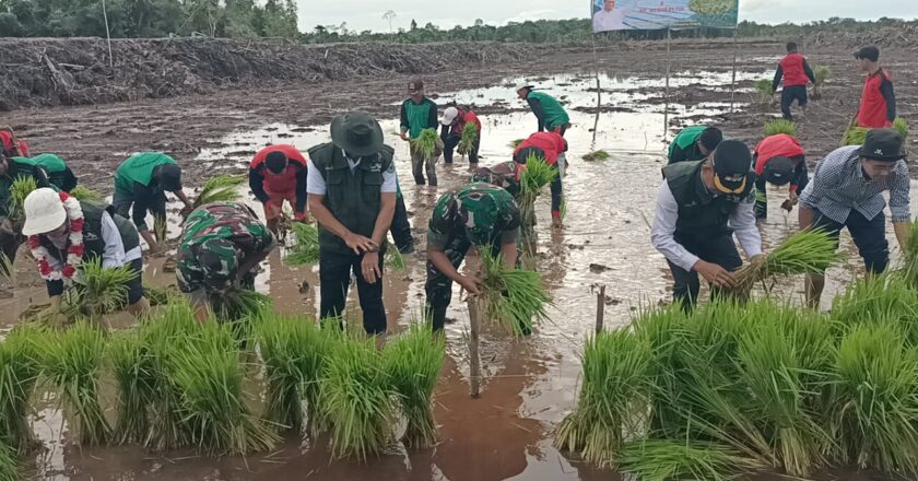 Dewan Kapuas Dukung Program Cetak Sawah Rakyat di Desa Keladan