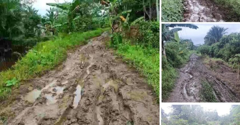 Anggota DPRD Kapuas Desak Pemkab Segera Perbaiki Jalan ke Sei Jangkit