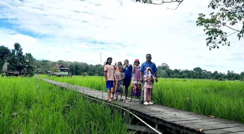 Pertanian Berkelanjutan Kunci Kesejahteraan Para Petani di Desa Bintang Ninggi II