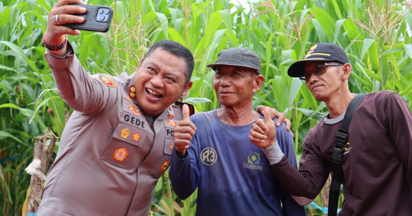 Polres Kapuas Panen Raya Jagung Dukung Ketahanan Pangan Swasembada Jagung
