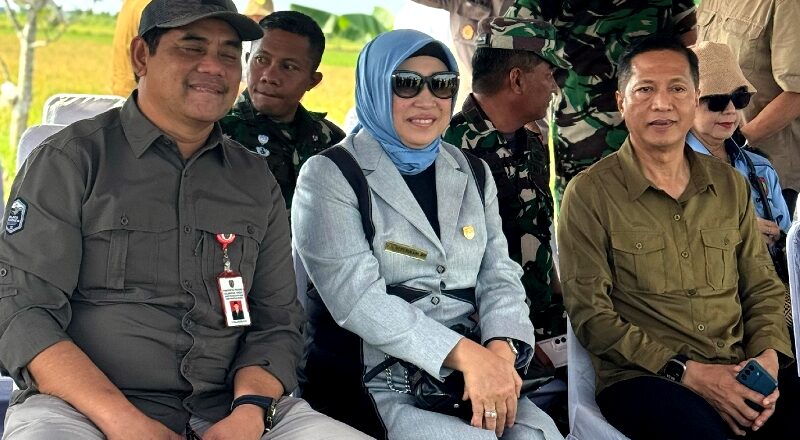 Ketua DPRD Barut Panen Raya Padi Serentak Ajak Sinergi Majukan Pertanian Lokal