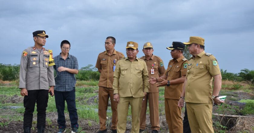 Panen Semangka Non Biji di Desa Pulau Kaladan, Bupati Kapuas Apresiasi Kegiatan Pertanian