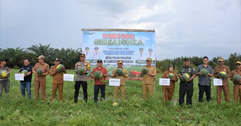 Wakil Ketua I DPRD Kapuas Apresiasi Panen Buah Semangka di Desa Pulau Kaladan