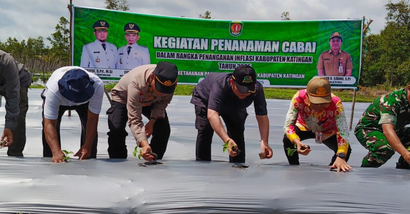 Bupati Katingan Harapkan Petani Cabai Tingkatkan Produksi untuk Menekan Inflasi 