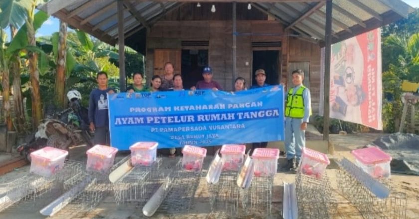 Perusahaan Luncurkan Program Ketahanan Pangan melalui Pengadaan Ternak Ayam Petelur