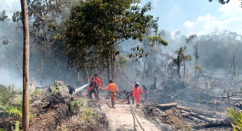 BPBD Barito Utara Tangani Dua Titik Karhutla, Total Lahan Terbakar Capai 1,9 Hektar