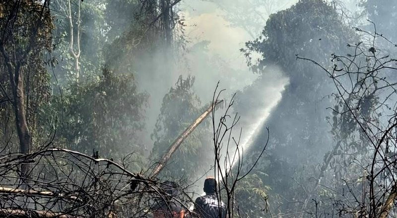 Karhutla Kembali Terjadi Di Barito Utara, Total Lahan Terbakar Capai 1,4 Hektar