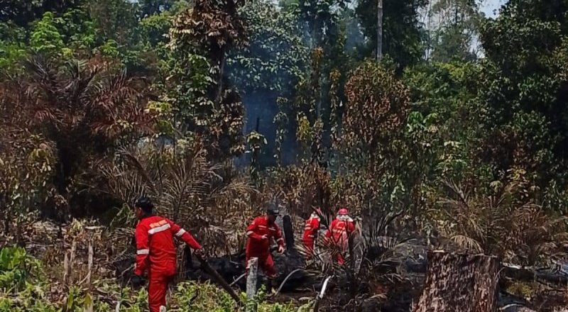 Sebanyak 5,06 Hektar Lahan di Barito Utara Terbakar