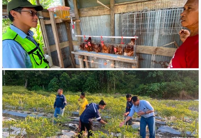 PT TOP–PAMA Perkuat Ekonomi Warga Buhut Jaya, UMKM Didorong Naik Kelas dan Berdaya Saing