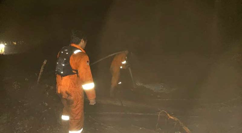 BPBD Barut Lanjutkan Pemadaman Kebakaran Hutan di Wilayah Observasi Yayasan Chanee Kalaweit