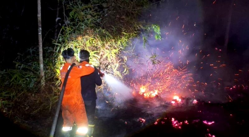 BPBD dan Disdamkarmat Barito Utara Padamkan Karhutla 1,54 Hektar di Desa Trinsing